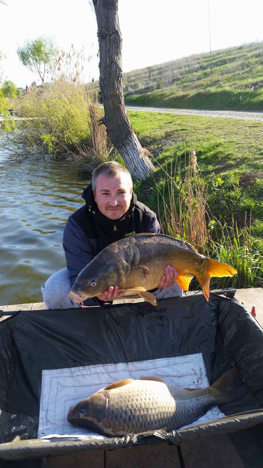 carp - received1417077375033315.jpeg